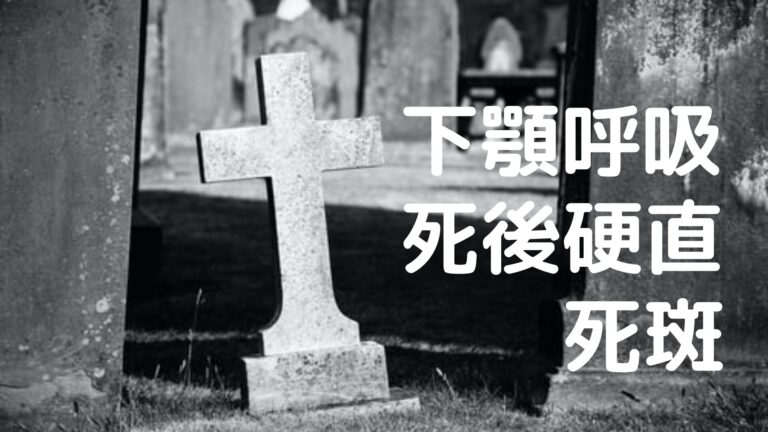 【死の直前直後】死前喘鳴、下顎呼吸、死後硬直、死斑 | 介護福祉士国試 1カ月で合格できる覚え方
