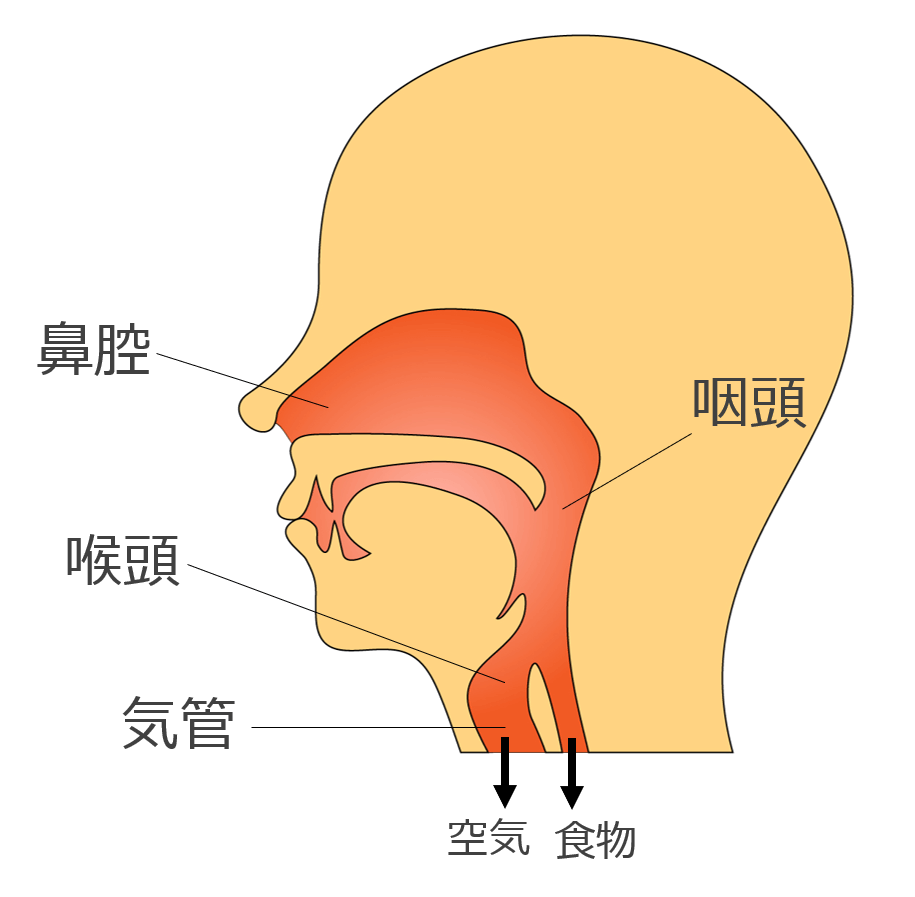 呼吸器