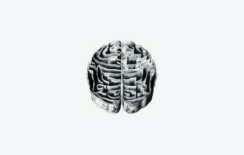 脳と臓器