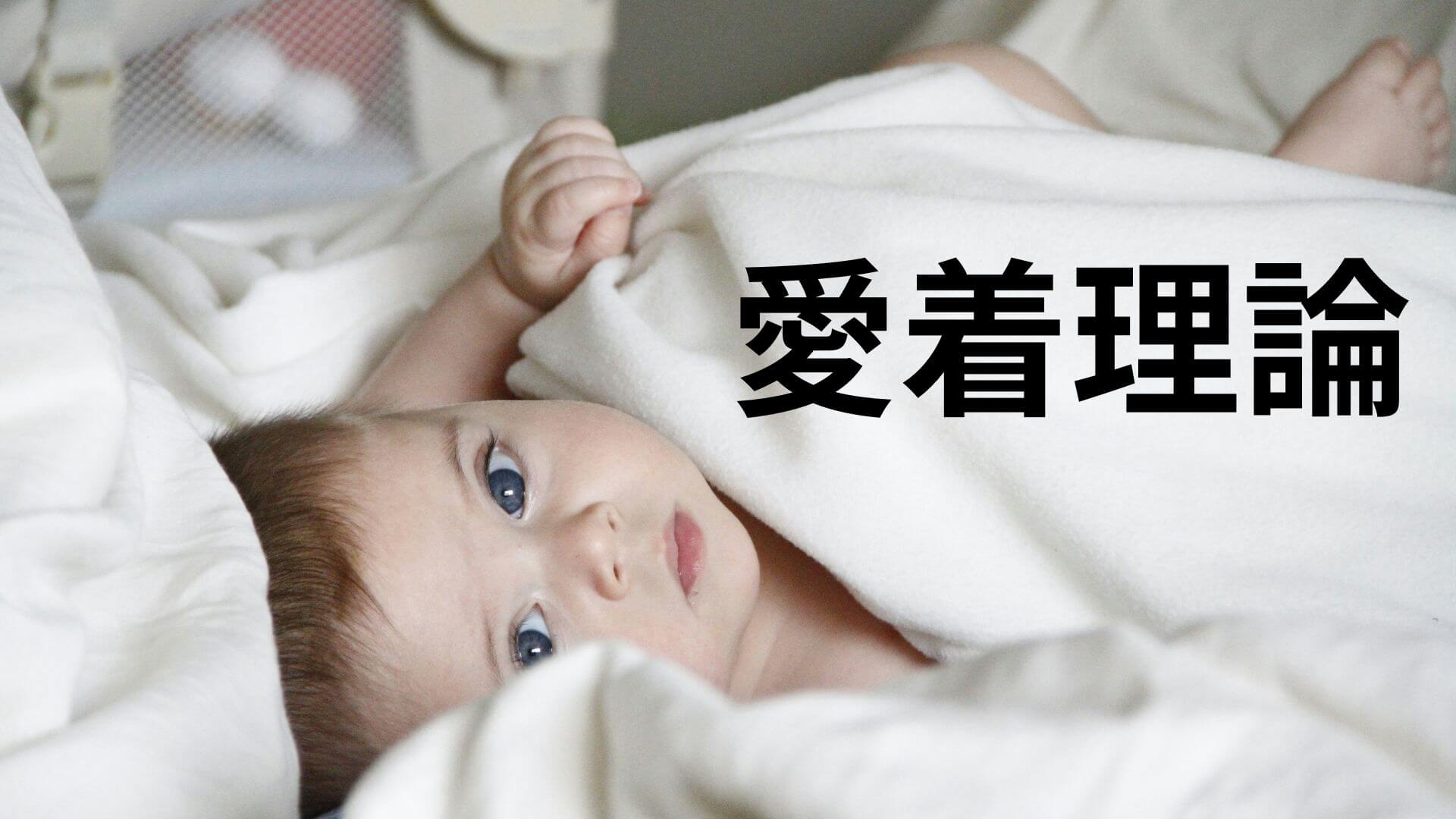 愛着理論】「アタッチメント」by ボウルビィ | 介護福祉士国試 1カ月 