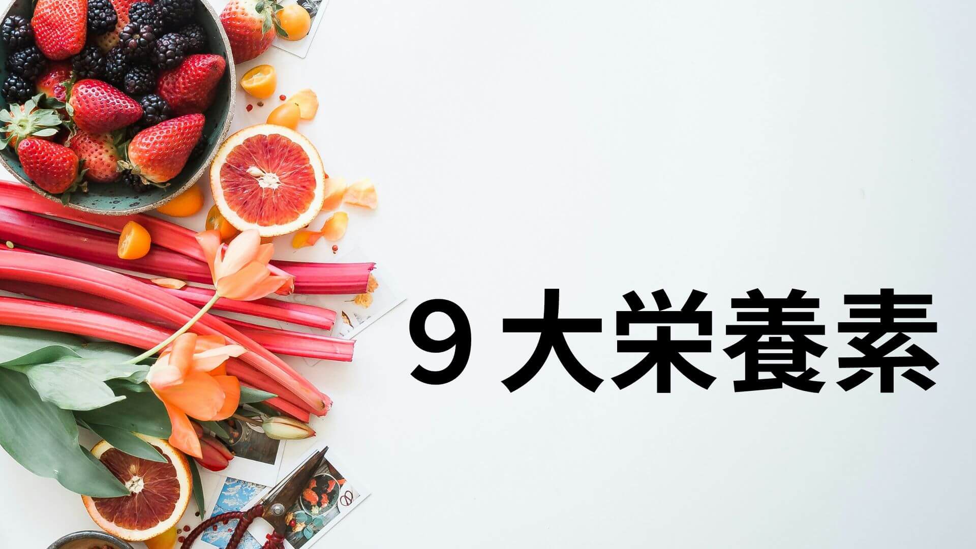 ９大栄養素